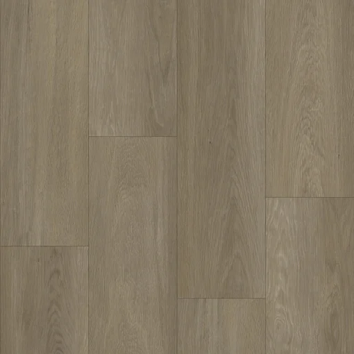 Bodiax Estrela 123 Ash