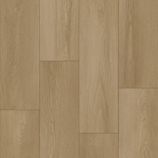 Bodiax Longa 336 Soil