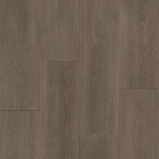 Bodiax Royal 592 Majestic