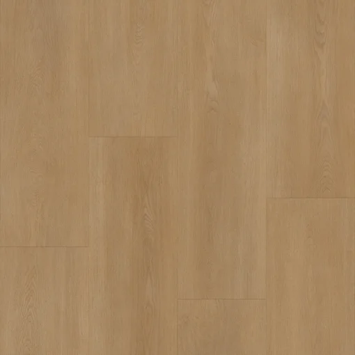 Bodiax Royal 594 Vendome