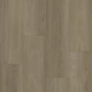 Bodiax Estrela 123 Ash