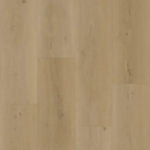 Bodiax Longa 331 Silt