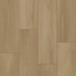 Bodiax Longa 336 Soil