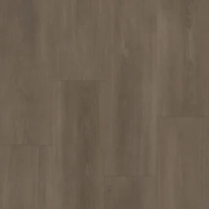 Bodiax Royal 592 Majestic
