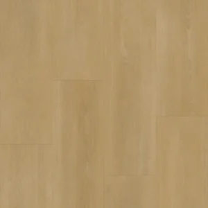 Bodiax Royal 593 Regency