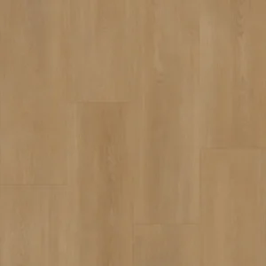Bodiax Royal 594 Vendome
